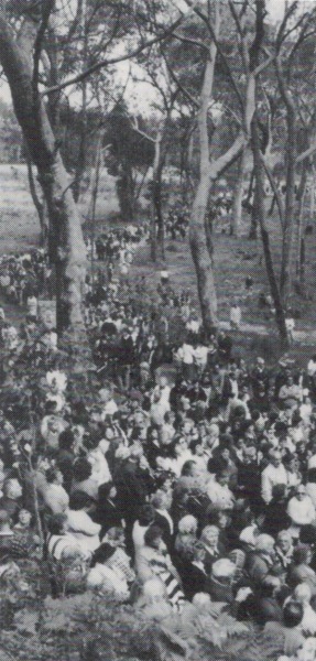 An endless stream of pilgrims on their way to the Grotto.